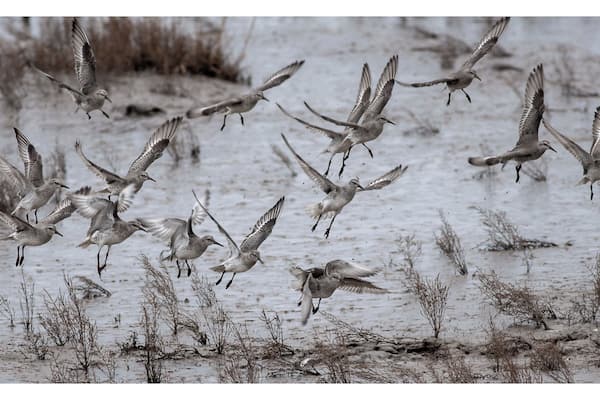 A great day out if you are in anyway interested in wildlife.