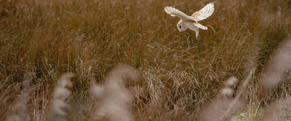 A great day out if you are in anyway interested in wildlife.