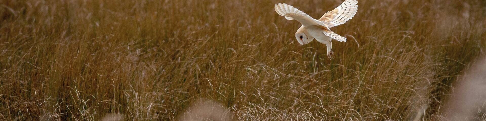 A great day out if you are in anyway interested in wildlife.