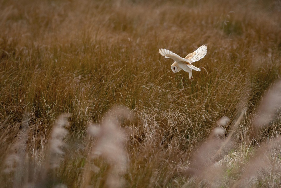 A great day out if you are in anyway interested in wildlife.