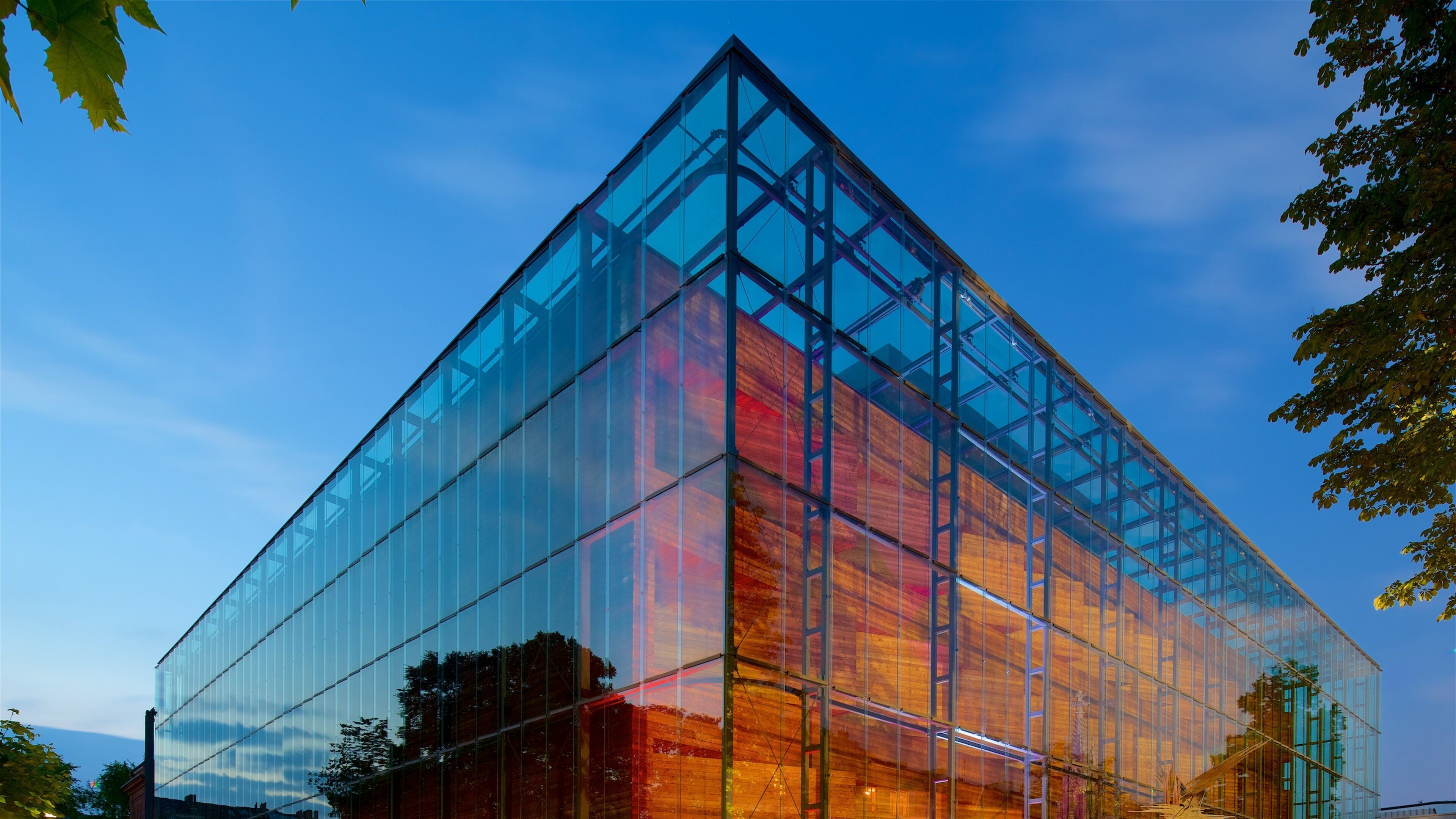 Rheinisches Landesmuseum Bonn featuring modern architecture