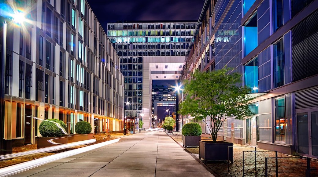 Kranhäuser im Rheinauhafen