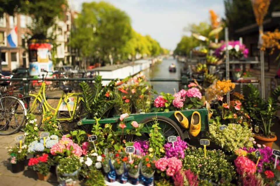 Un marché aux fleurs avec des vélos et un canal en arrière-plan.