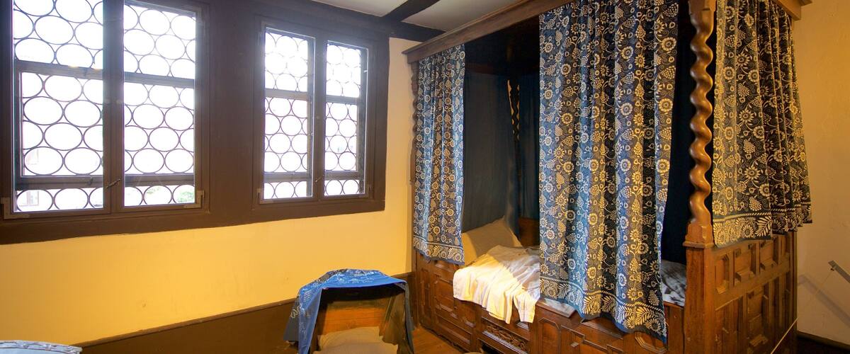 Bachhaus which includes a house, interior views and heritage elements