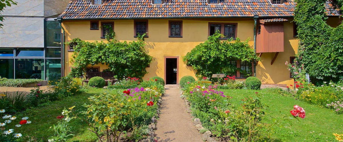 Bachhaus showing a park, wild flowers and a house