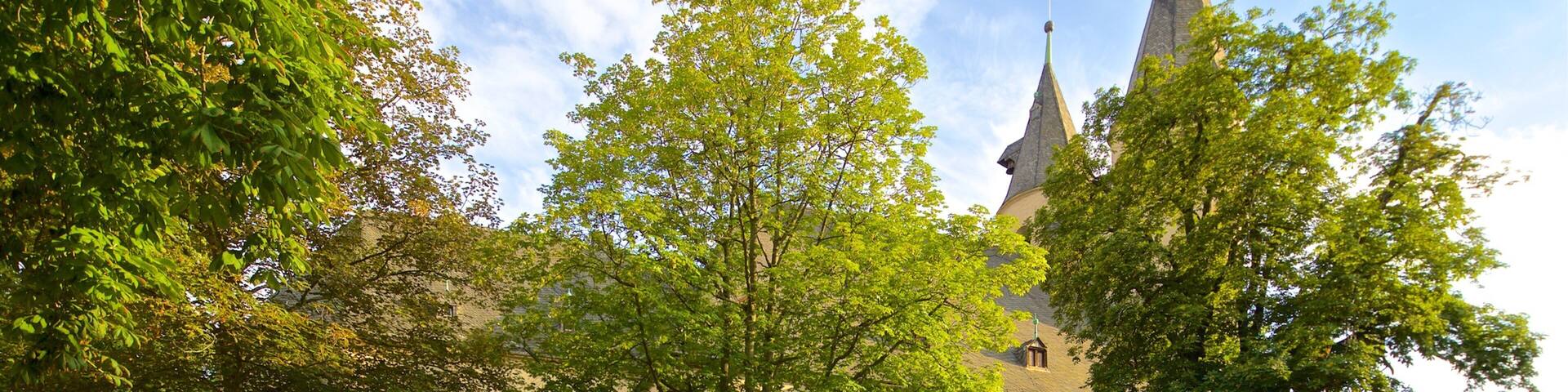 Jakobikirche das einen Kirche oder Kathedrale und historische Architektur
