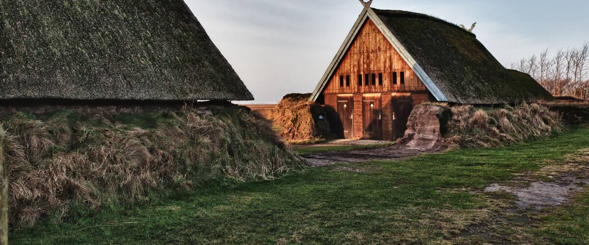 Thatched-roof houses with a wooden barn in a rural landscape.