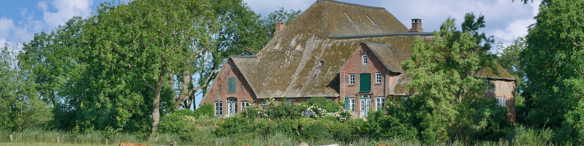 traditional Farm house called Haubarg on Eiderstedt Peninsula near Sankt Peter-Ording,North Frisia,Schleswig-Holstein,Germany, Shutterstock ID 1117687541, Purchase Order: -