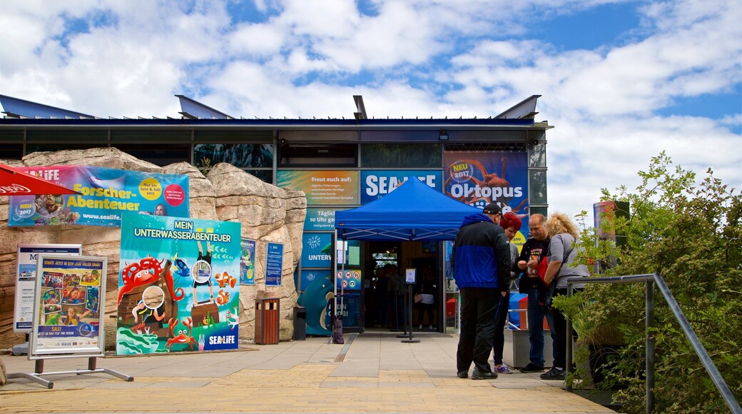 Aquarium SEA LIFE Timmendorfer Strand mettant en vedette signalisation aussi bien que petit groupe de personnes