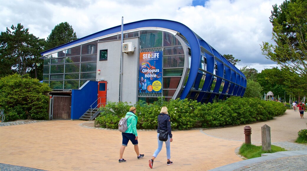 Aquarium SEA LIFE Timmendorfer Strand qui includes signalisation aussi bien que couple