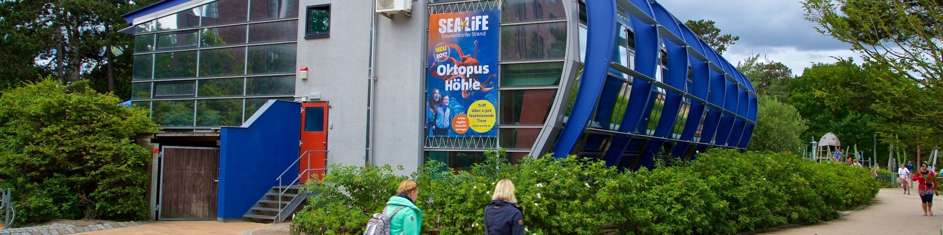 Aquarium SEA LIFE Timmendorfer Strand qui includes signalisation aussi bien que couple