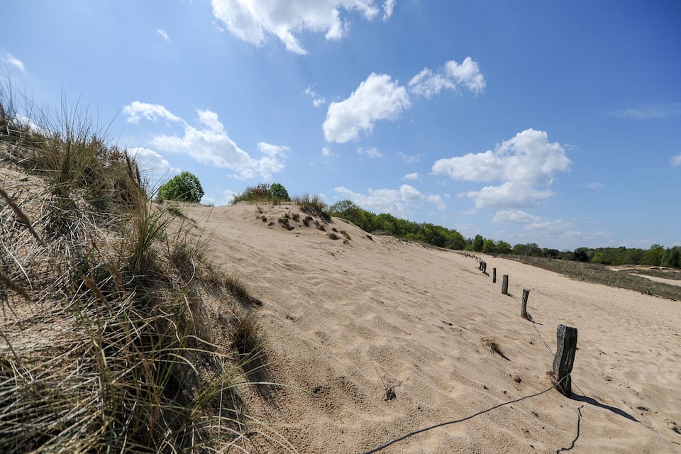 A sandy dune landscape with sparse vegetation and wooden posts.