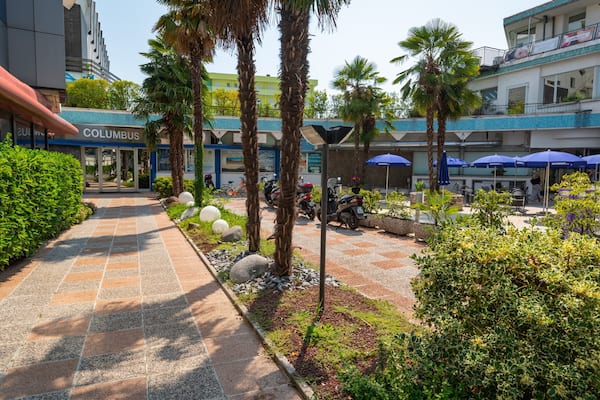 A paved pathway lined with palm trees and greenery, leading to a Columbus building.