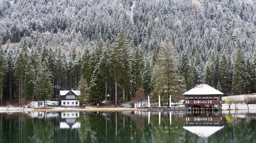 Snow-covered forest and houses reflected in Lake Toblach, Lago di Dobbiaco, Toblach, Val Pusteria, Alto Adige, Trentino-Alto Adige, Italy