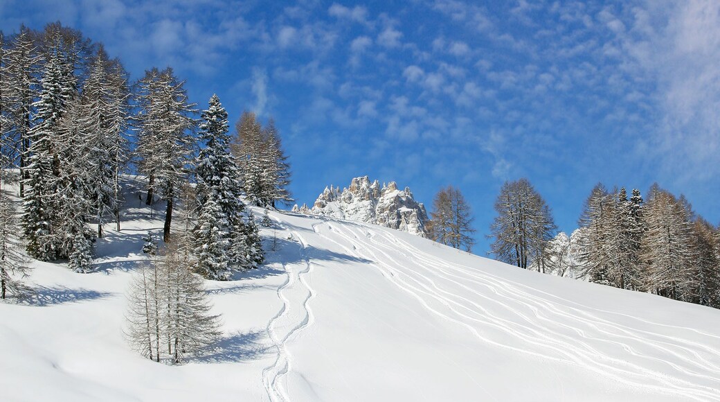 Prati di Croda Rossa