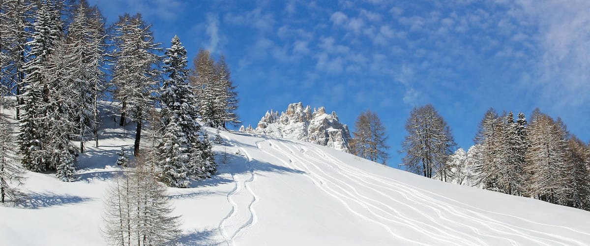 Ski tracks in the snow under the Croda Rossa di Sesto mountain, or Zehner is a mountain in the Sexten Dolomites in South Tyrol, Italy - UNESCO World Heritage Site