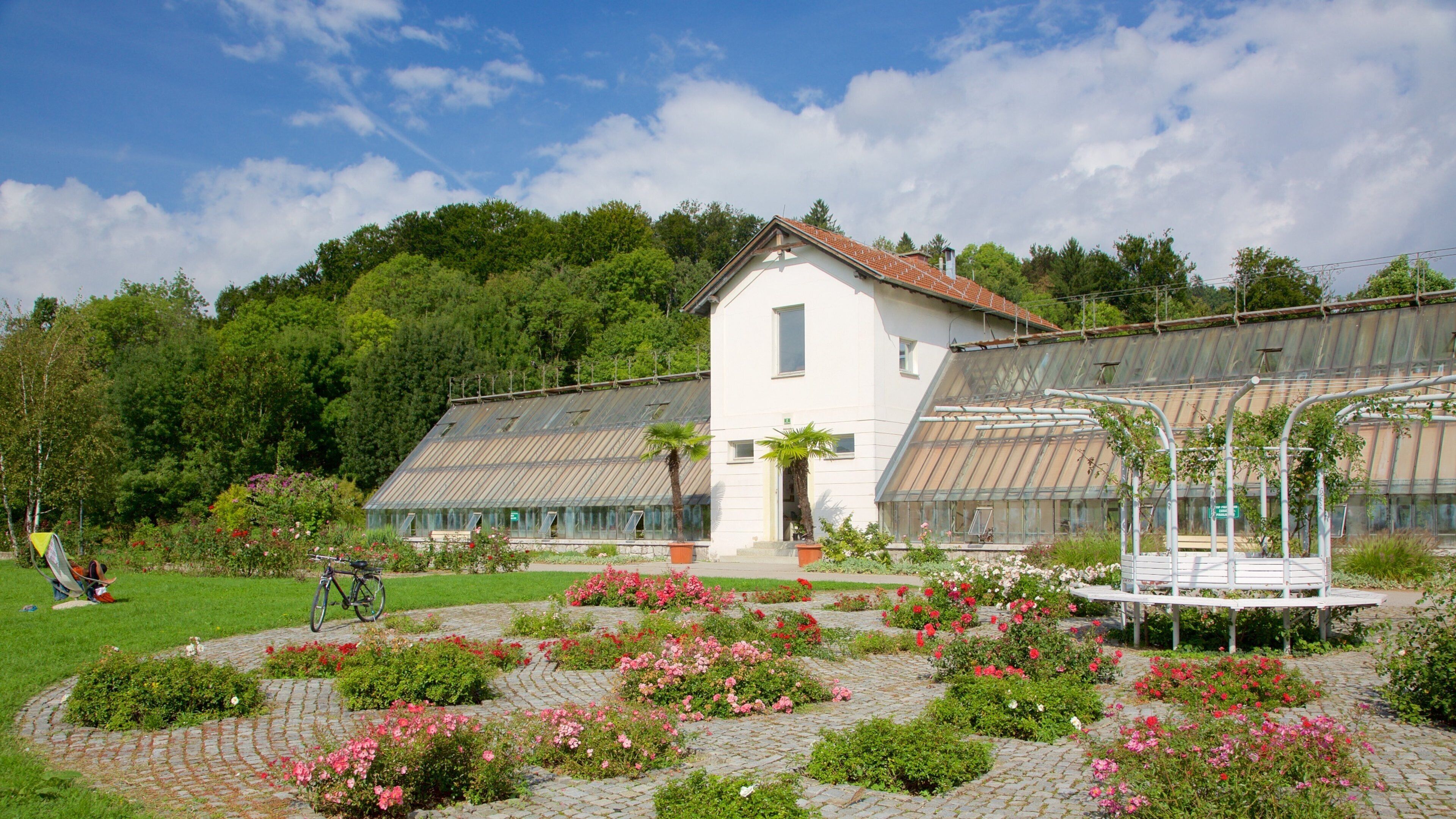 Ljubljana showing flowers and a garden