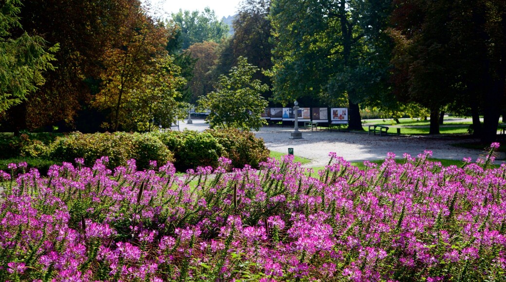 Ljubljana có tính năng hoa và công viên