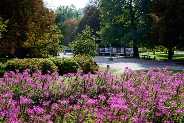 Ljubljana das einen Blumen und Garten