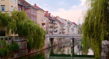 Cobbler\'s Bridge which includes a bridge and a river or creek
