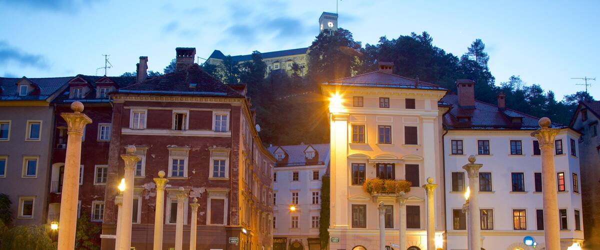 ๋ฅ๋ธ๋ด๋ ์ ๋ณด์ฌ์ฃผ๋ ๋ค๋ฆฌ ๊ณผ ์ผ๊ฒฝ