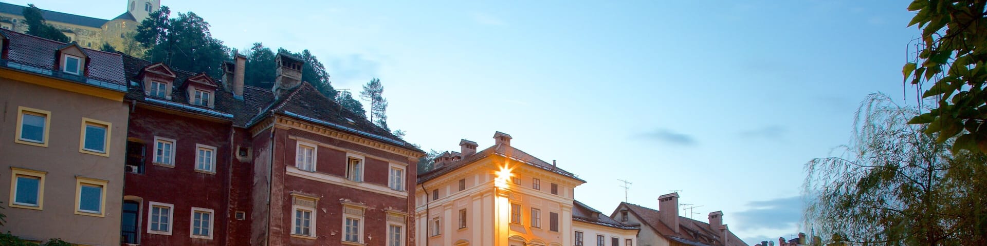 Ljubljana welches beinhaltet BrĂŒcke und bei Nacht