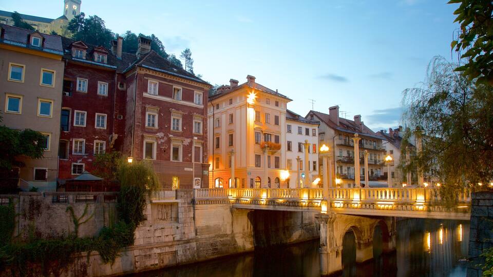 Ljubljana showing night scenes and a bridge