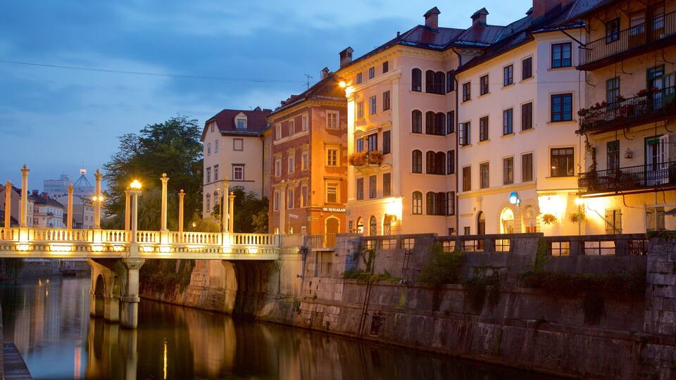 Ljubljana which includes a river or creek, a bridge and night scenes