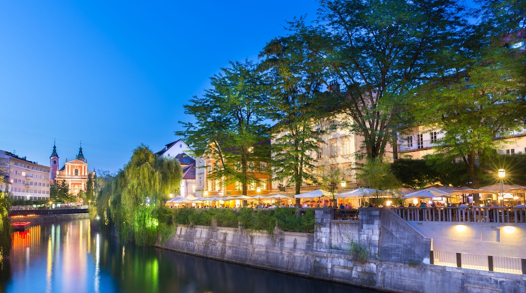 Ljubljanica flodkanal