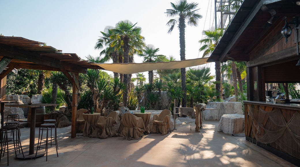 Adventure Golf featuring a beach bar