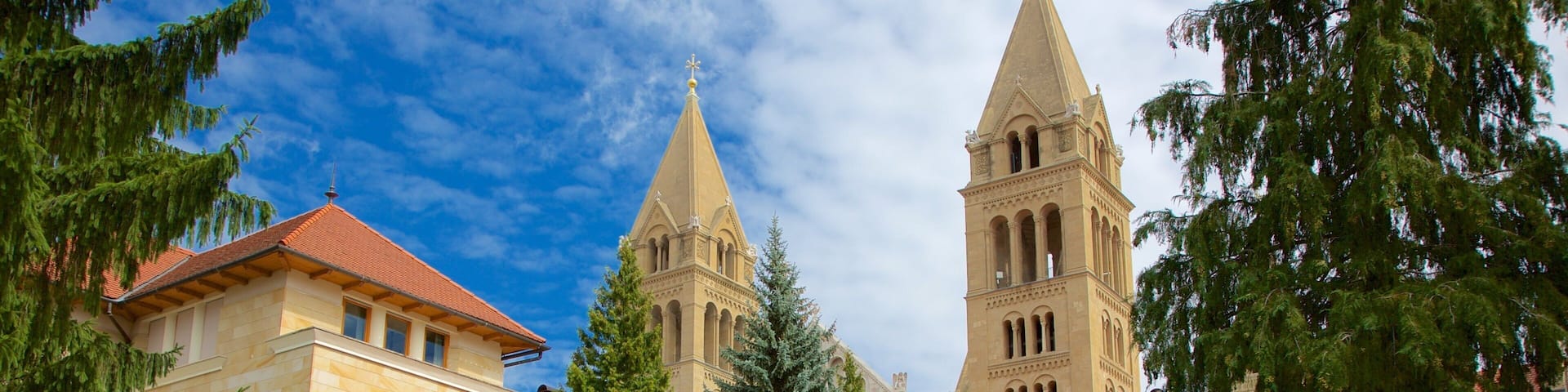 Pecs featuring chateau or palace and heritage architecture