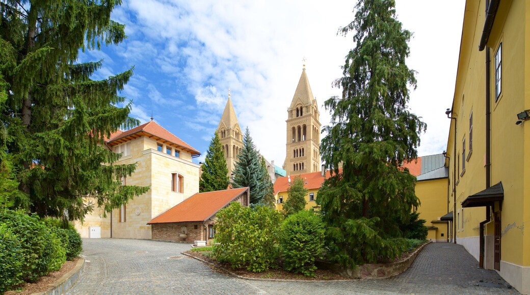Pecs featuring a castle and heritage architecture