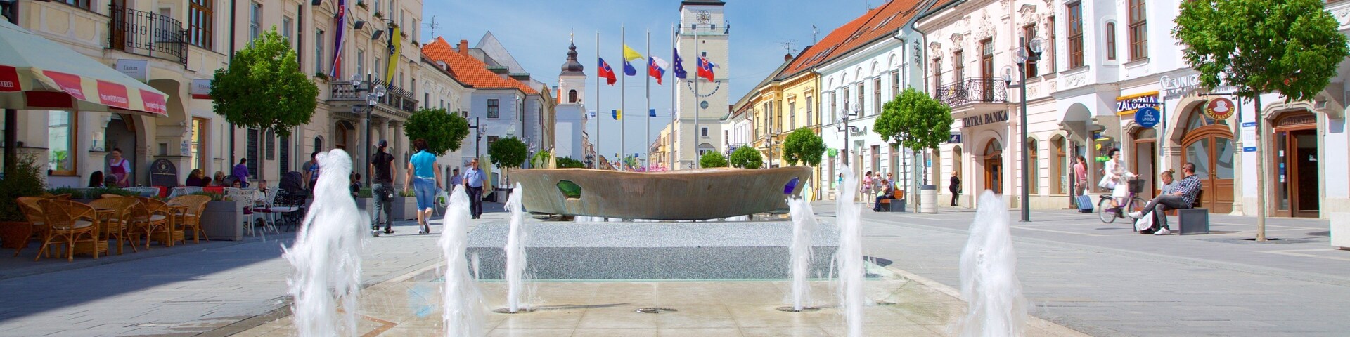 Trnava which includes a square or plaza, street scenes and a fountain