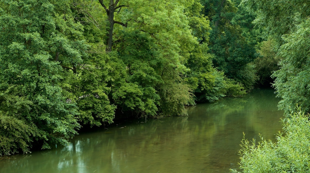 Park an der Ilm featuring a river or creek