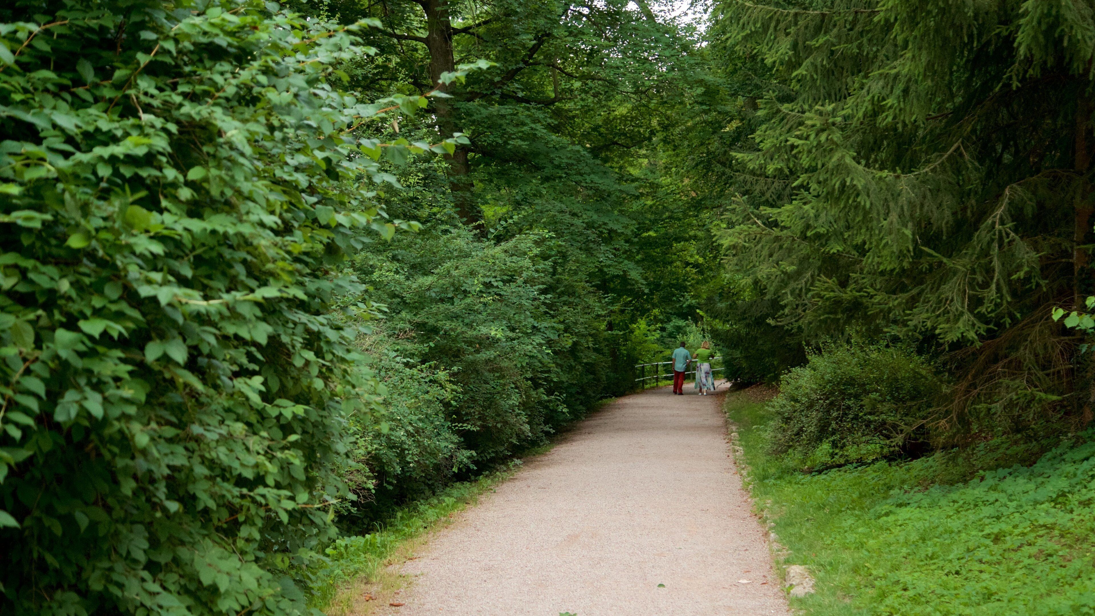 Park an der Ilm som viser park i tillegg til par