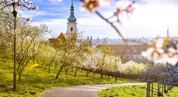 Petrin hill at sunrise, Lesser town