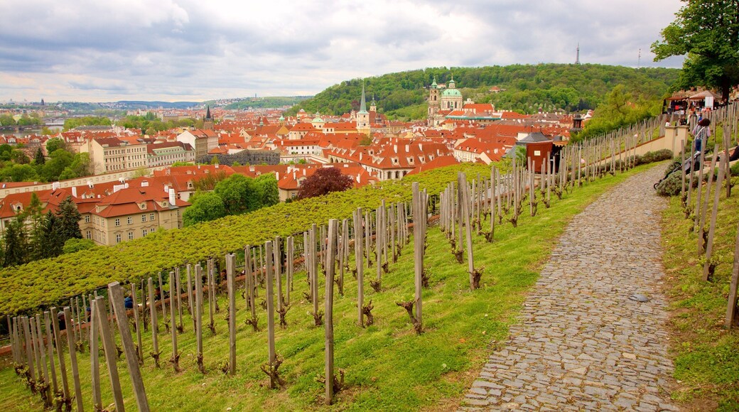 Furstenberg Garden featuring a city