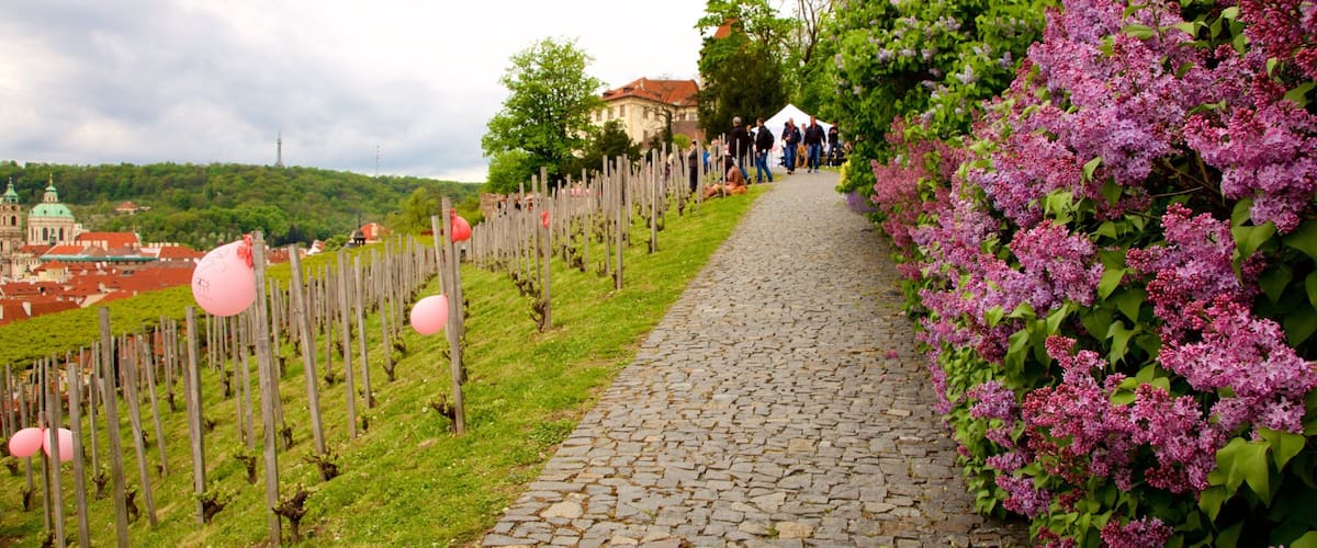 Prague which includes flowers