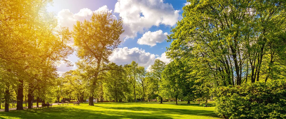 Spring view in Letna Park, Prague, Czech Republic. Spring in Prague (Praha), beautiful Letna park (Letenske sady) in sunlight, sunny landscape, popular tourist destination, Prague, Czech Republic