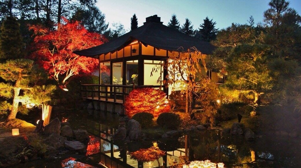 Laternenfest im Japanischen Garten Ferch, nahe Potsdam und Berlin.
Festival of lights in Bonsai Garden Ferch, near Potsdam and Berlin.