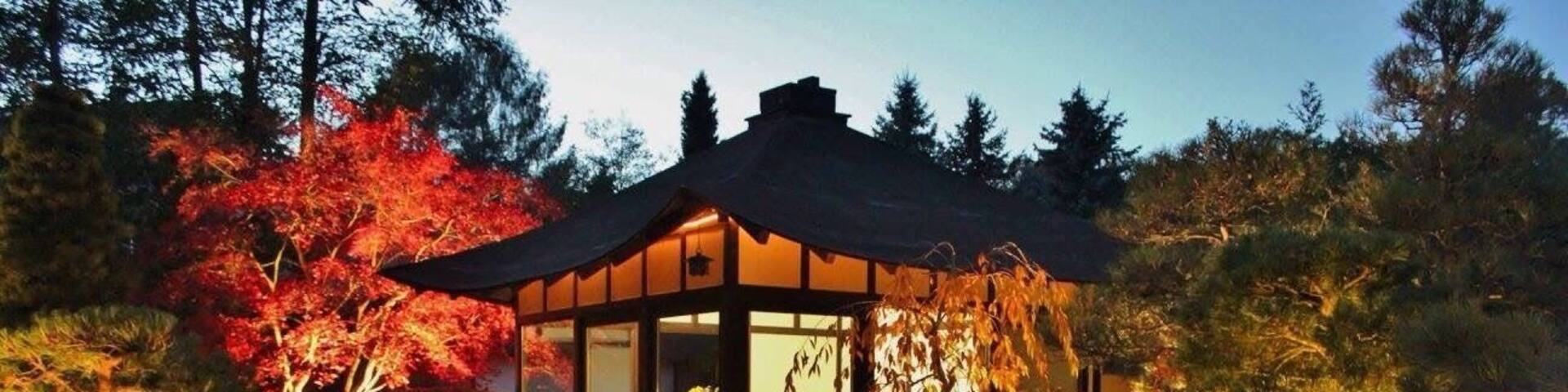 Laternenfest im Japanischen Garten Ferch, nahe Potsdam und Berlin.
Festival of lights in Bonsai Garden Ferch, near Potsdam and Berlin.