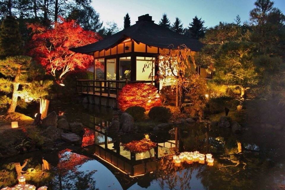 Un pavelló tradicional japonès amb una estructura de vidre, envoltat per un estany i arbres de tons autunnals.