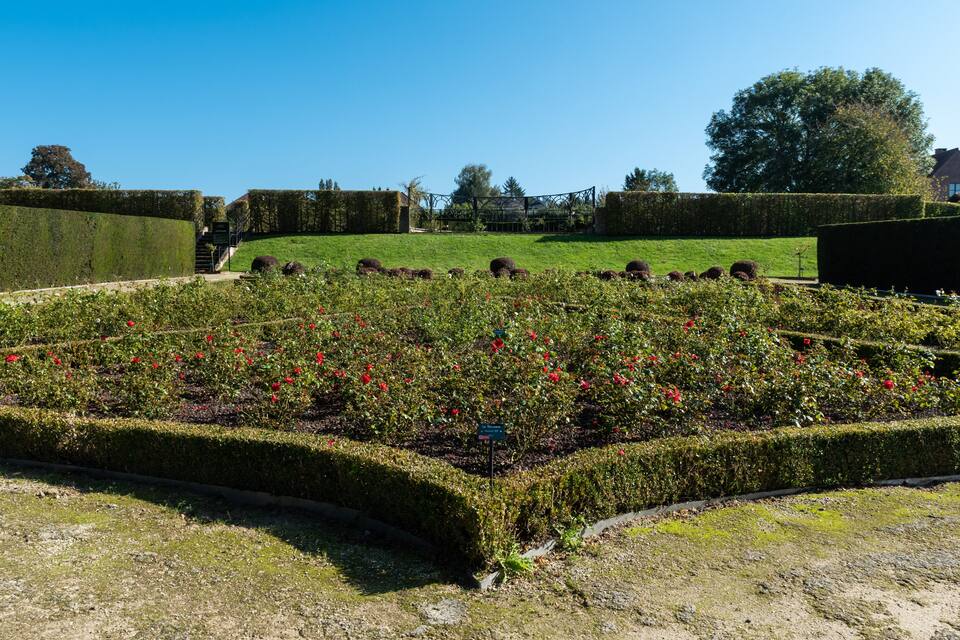 A meticulously landscaped garden with geometrically trimmed hedges and a variety of flowering plants.