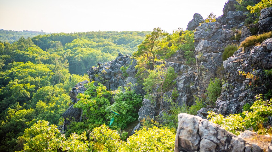 Popular wild park Divoka Sarka in Prague city in sunset time in summer, Czech republic