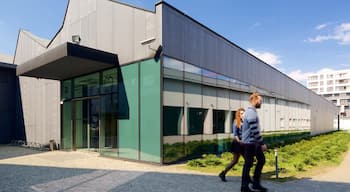 Museum of Contemporary Art in Krakow y también una pareja