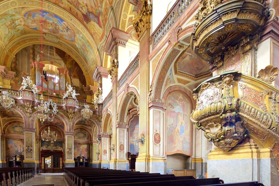An ornate church interior with high ceilings, detailed frescoes, and a grand organ.