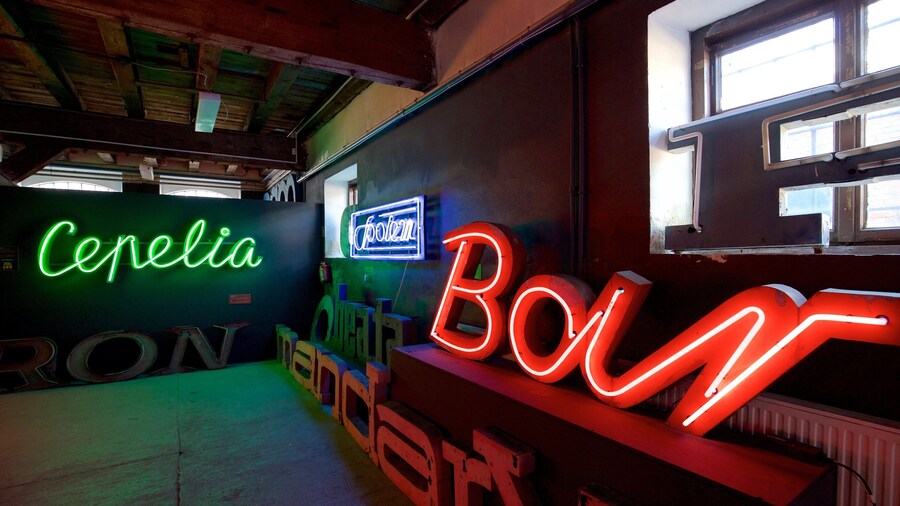 Neon Muzeum showing interior views and art