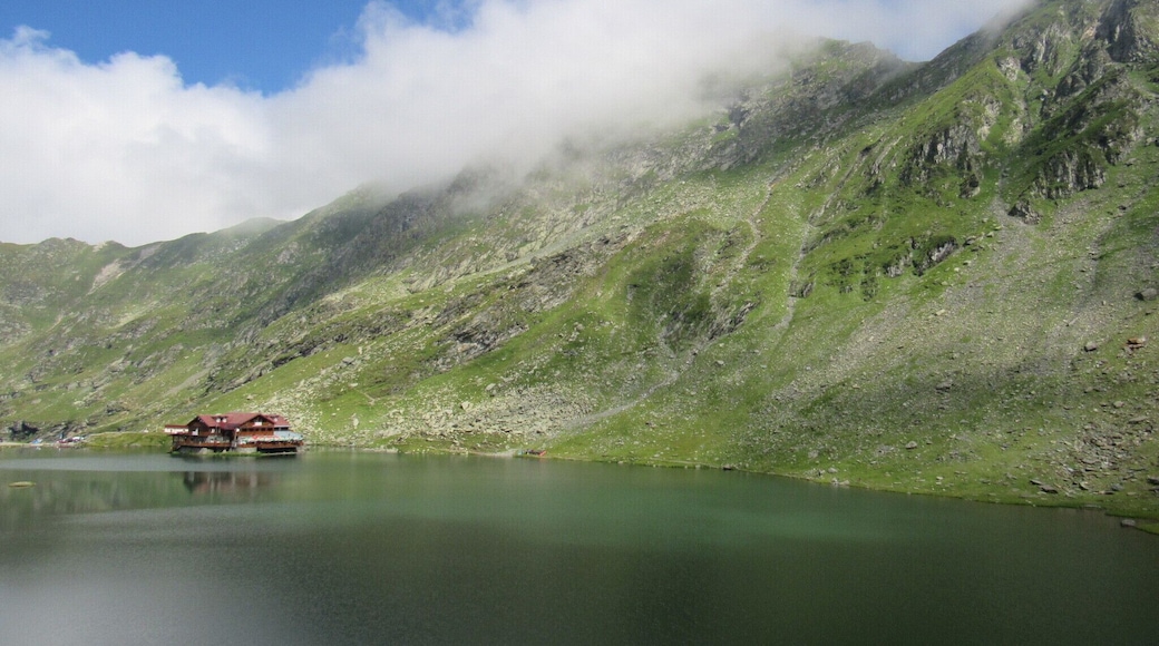 #balealake #transfagarasan #romania #canon