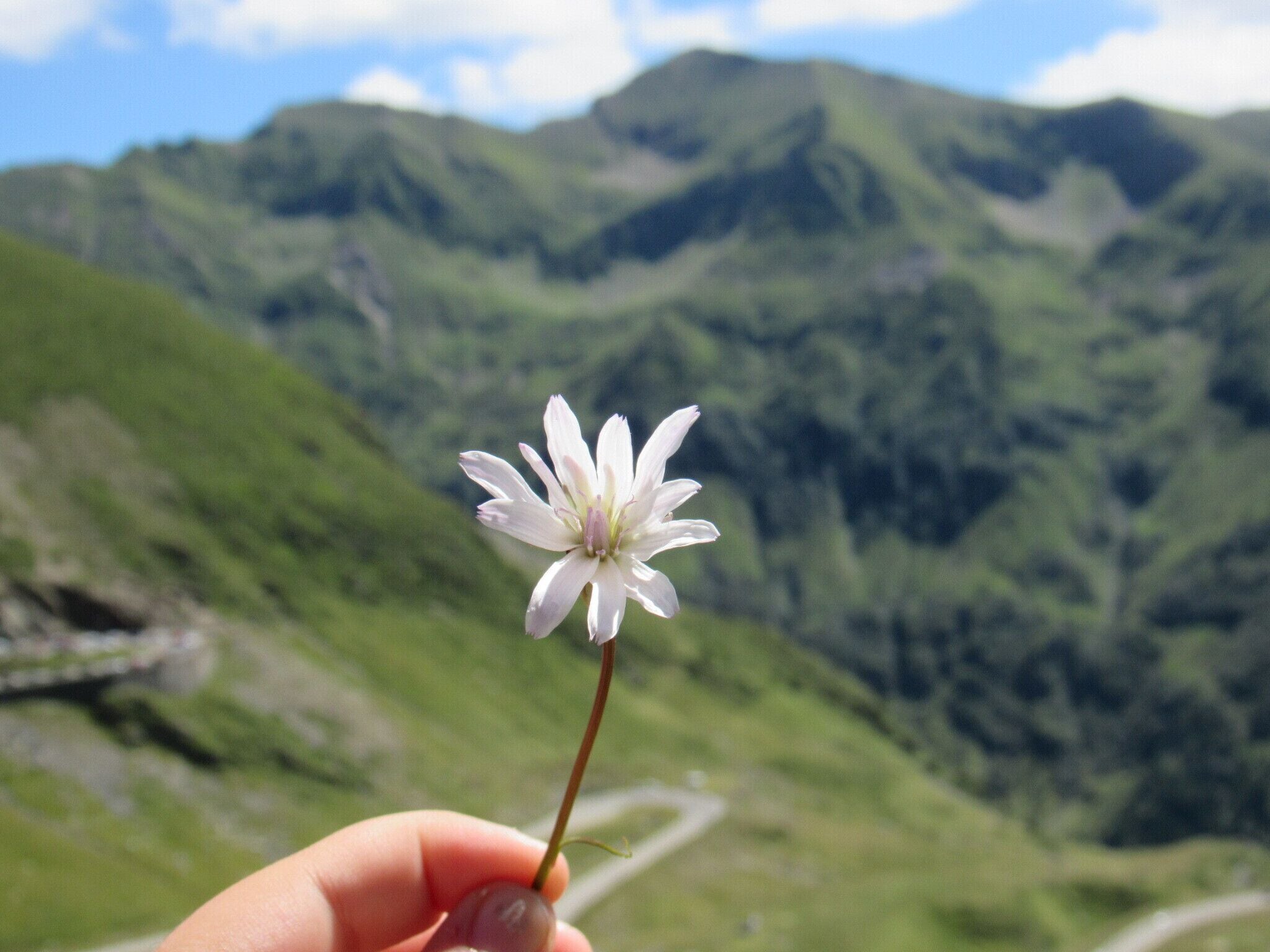 #transfagarasan #canon 