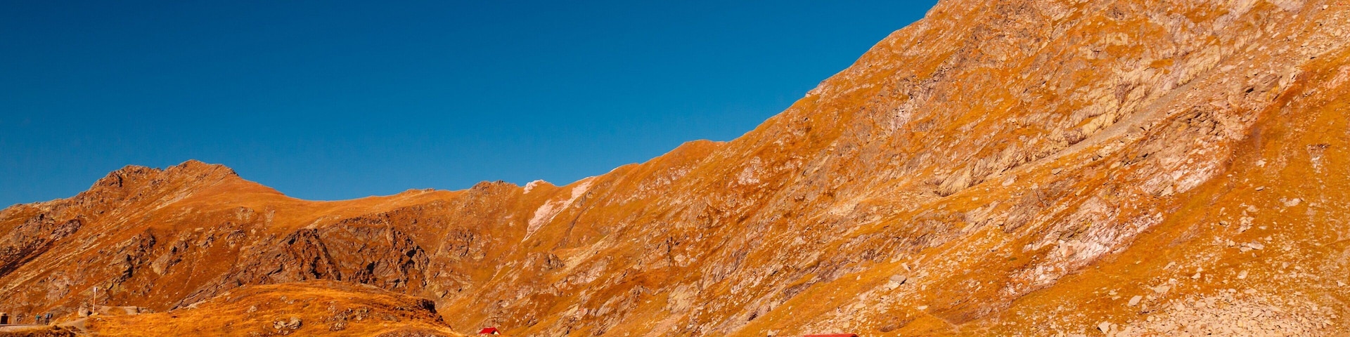 0_585ea239-0c9e-486b-bc72-cc88ebf88058_raw